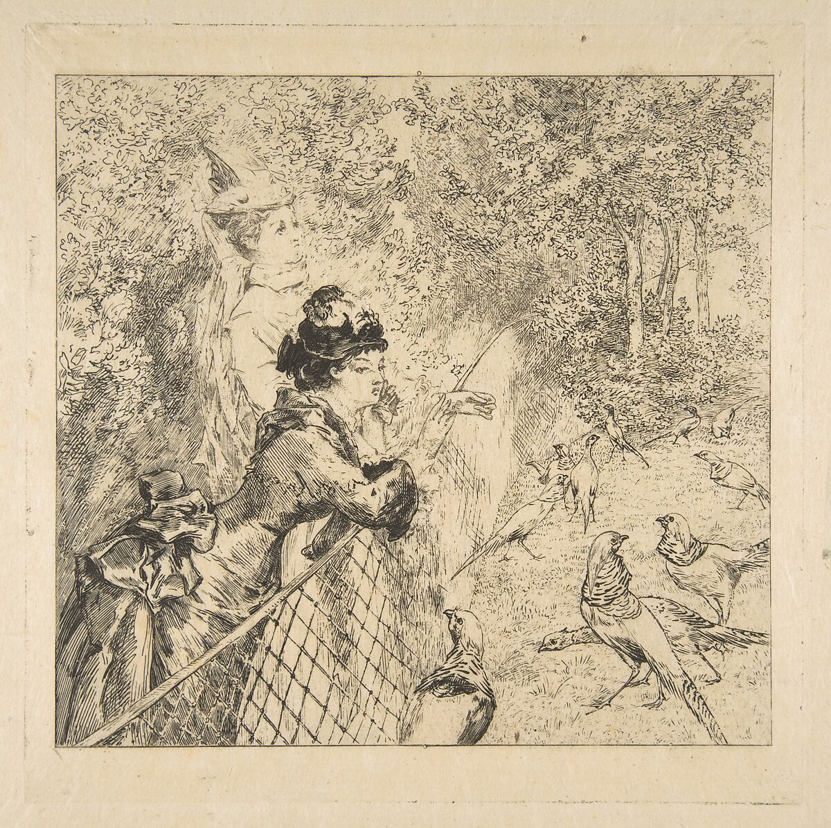 In the Zoological Garden, Félix Bracquemond (French, Paris 1833–1914 Sèvres), Etching; first state of seven 