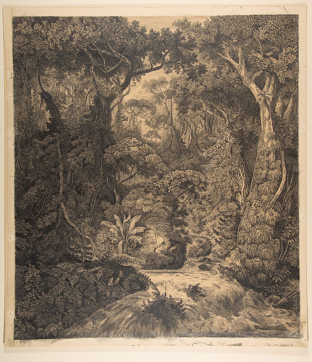 Ceylonese Jungle, Hermann von Königsbrunn (Austrian, Radkersburg, Steiermark 1823–1907 Graz), Pen and black ink. Framing line in pen and black ink 