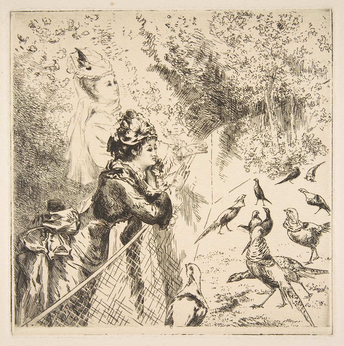 In the Zoological Garden, Félix Bracquemond (French, Paris 1833–1914 Sèvres), Etching; first state of two 