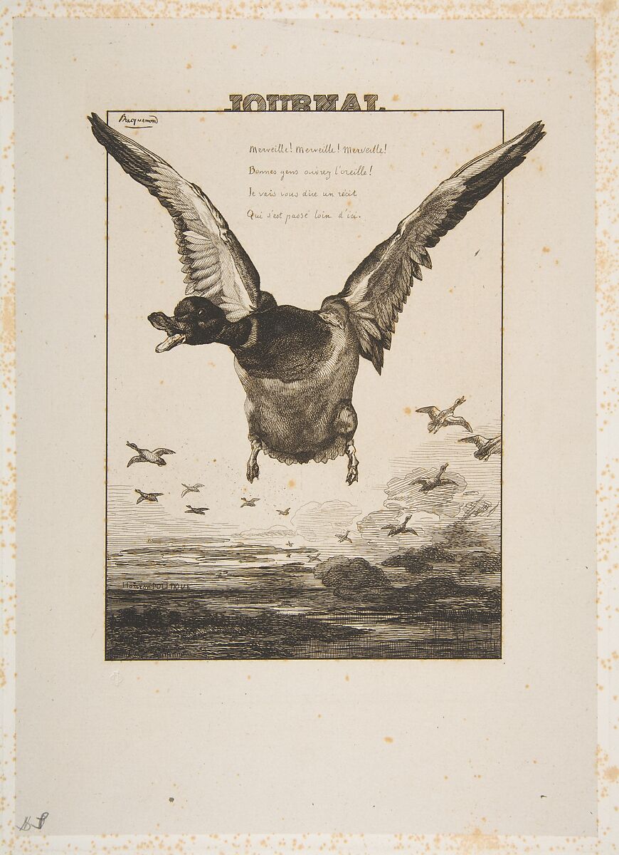 Le Canard, Félix Bracquemond (French, Paris 1833–1914 Sèvres), Etching on chine collé; third state of four 