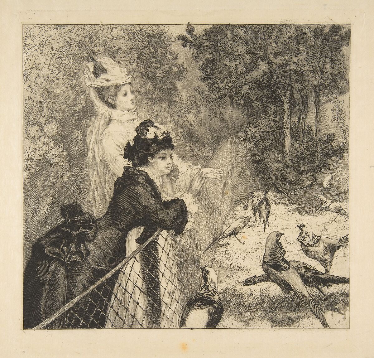 In the Zoological Garden, Félix Bracquemond (French, Paris 1833–1914 Sèvres), Etching, drypoint, and aquatint; sixth state of seven 