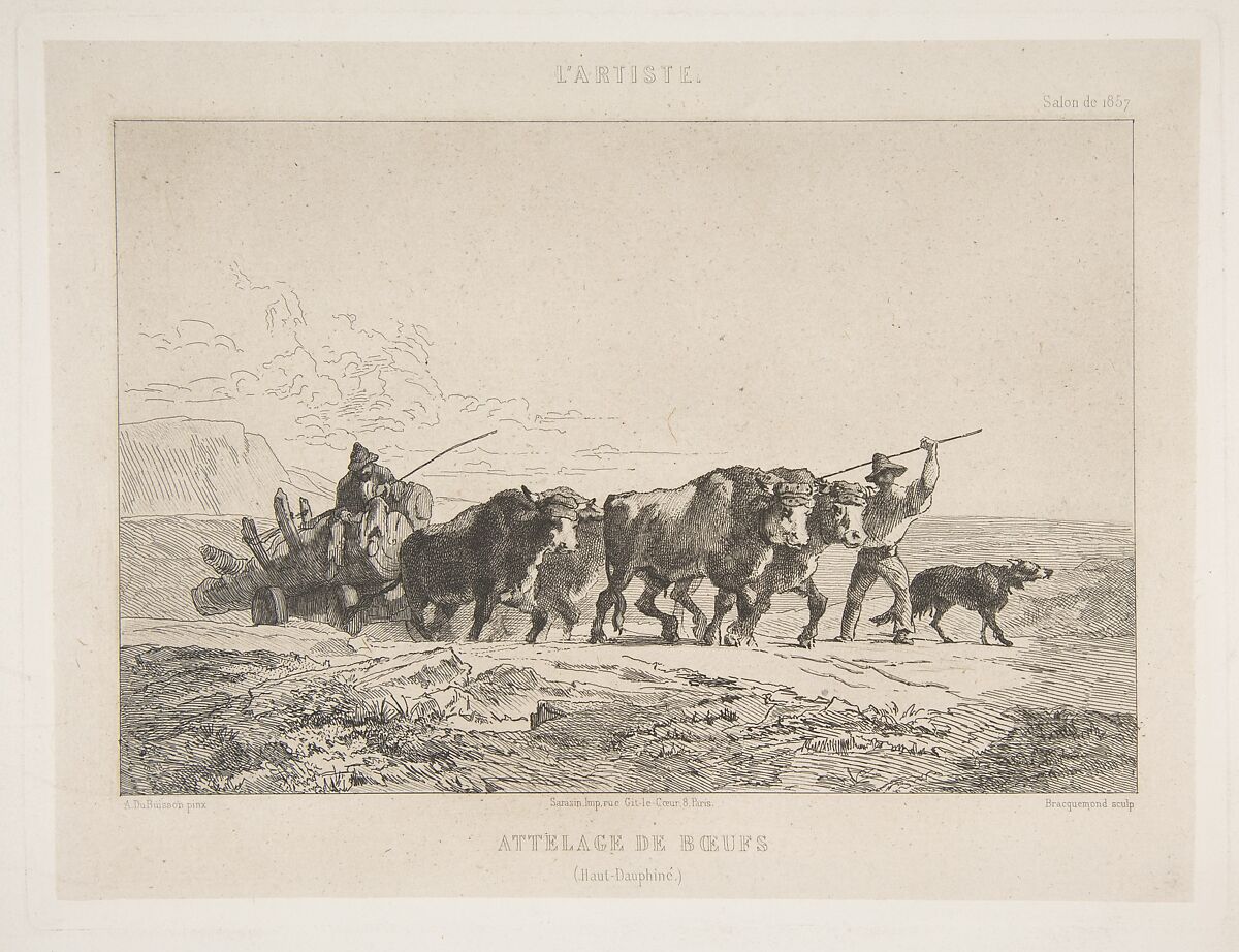 Team of Cattle (Haut-Dauphiné), from "L'Artiste", Félix Bracquemond (French, Paris 1833–1914 Sèvres), Etching; second state of two 