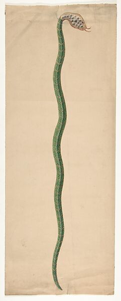 Design for a snake from the Workshop of Froment-Meurice, Workshop of Jacques-Charles-François-Marie Froment-Meurice (French, 1864–1948), Gouache and gilt over graphite 