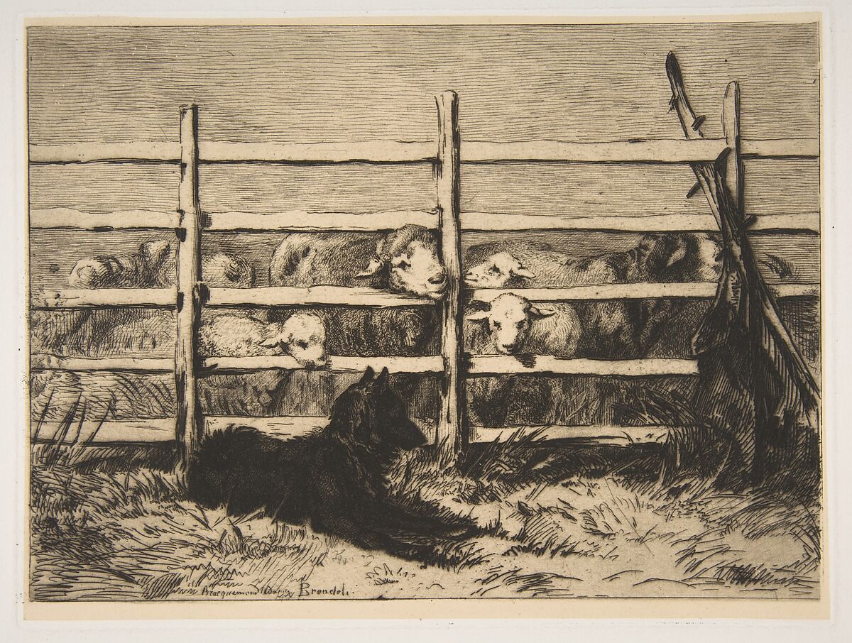 Moutons parqués, Félix Bracquemond (French, Paris 1833–1914 Sèvres), Etching; second state of two 