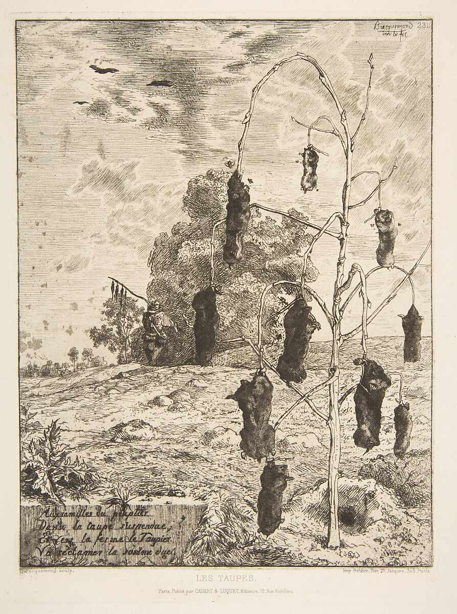 Les Taupes, Félix Bracquemond (French, Paris 1833–1914 Sèvres), Etching; sixth state of seven 