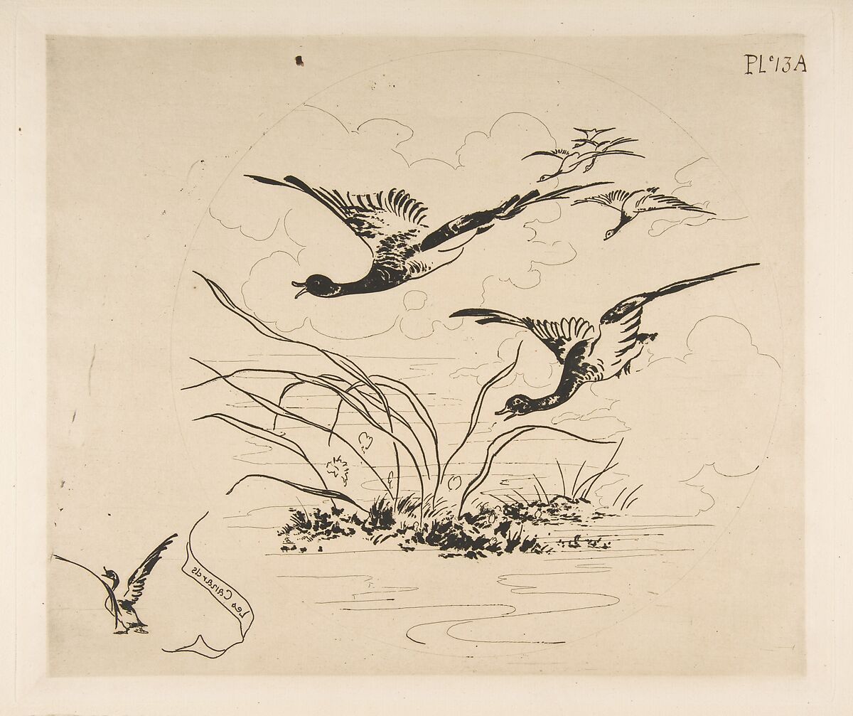Decoration for a Plate: Ducks, Félix Bracquemond (French, Paris 1833–1914 Sèvres), Etching 