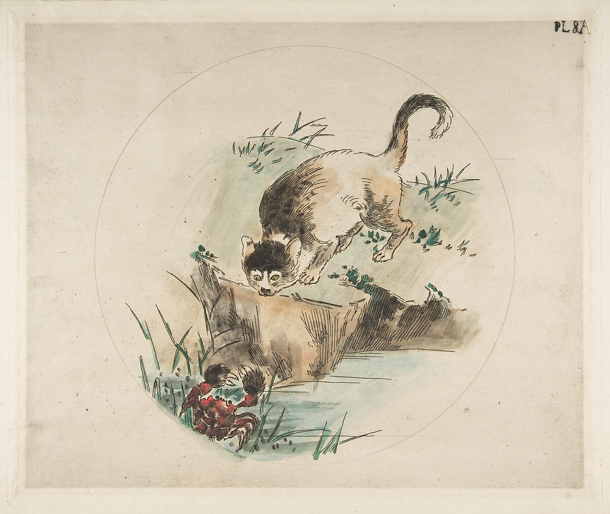 Decoration for a Plate: A Cat Hunting a Crab, Félix Bracquemond (French, Paris 1833–1914 Sèvres), Etching with watercolor 