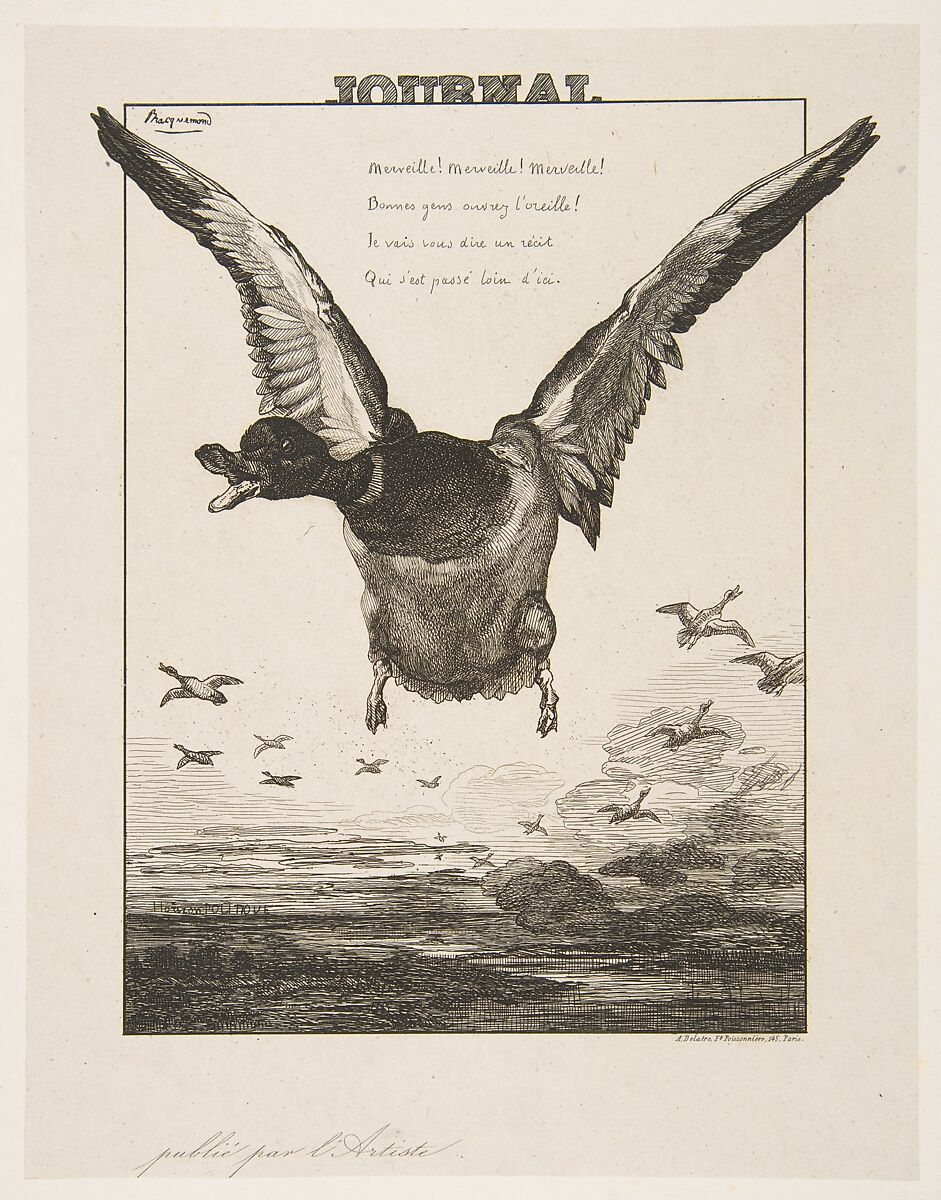 Le Canard, Félix Bracquemond (French, Paris 1833–1914 Sèvres), Etching; fourth state of four 