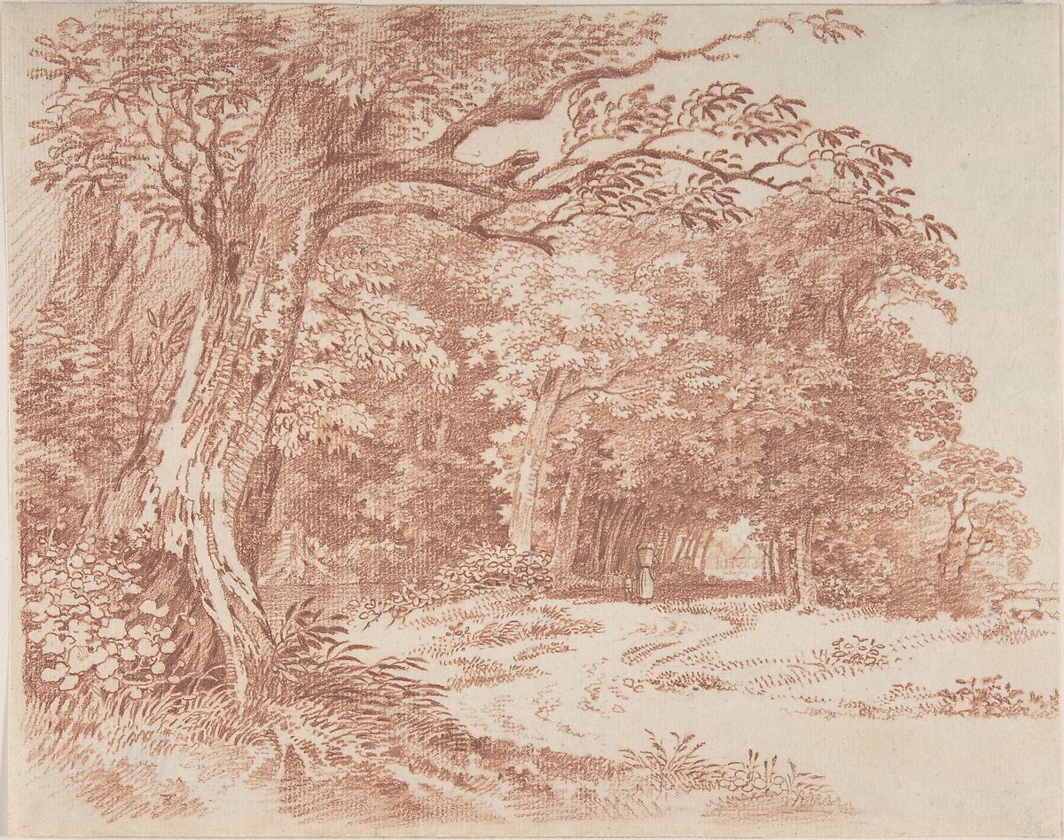 Wooded Landscape, Friedrich August Brand (Austrian, Vienna 1735–1806 Vienna), Red chalk 
