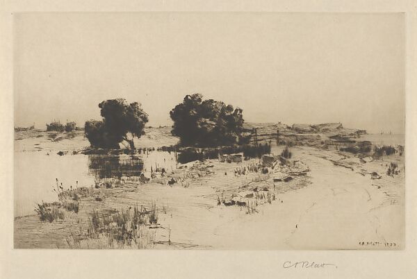 Cape Ann Willows, Charles Adams Platt (American, New York 1861–1933), Drypoint; published state 