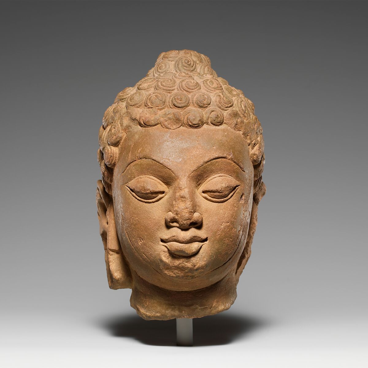 Head of a Buddha, Stone, India 