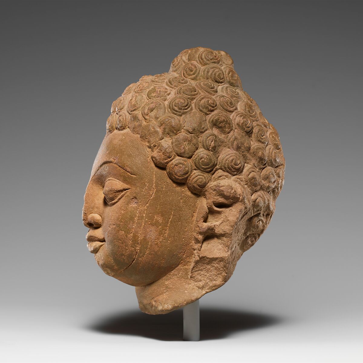 Head of a Buddha, Stone, India