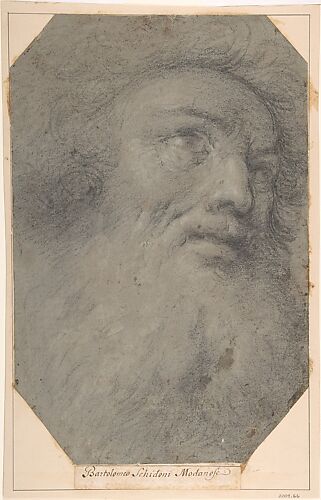 Head of a Bearded Man, Looking up to the Right