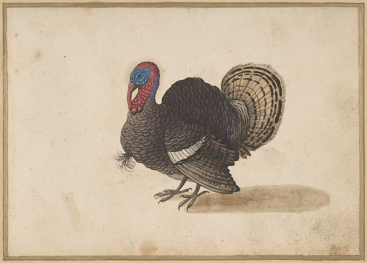 A Turkey, Anonymous, Dutch, Bodycolor 