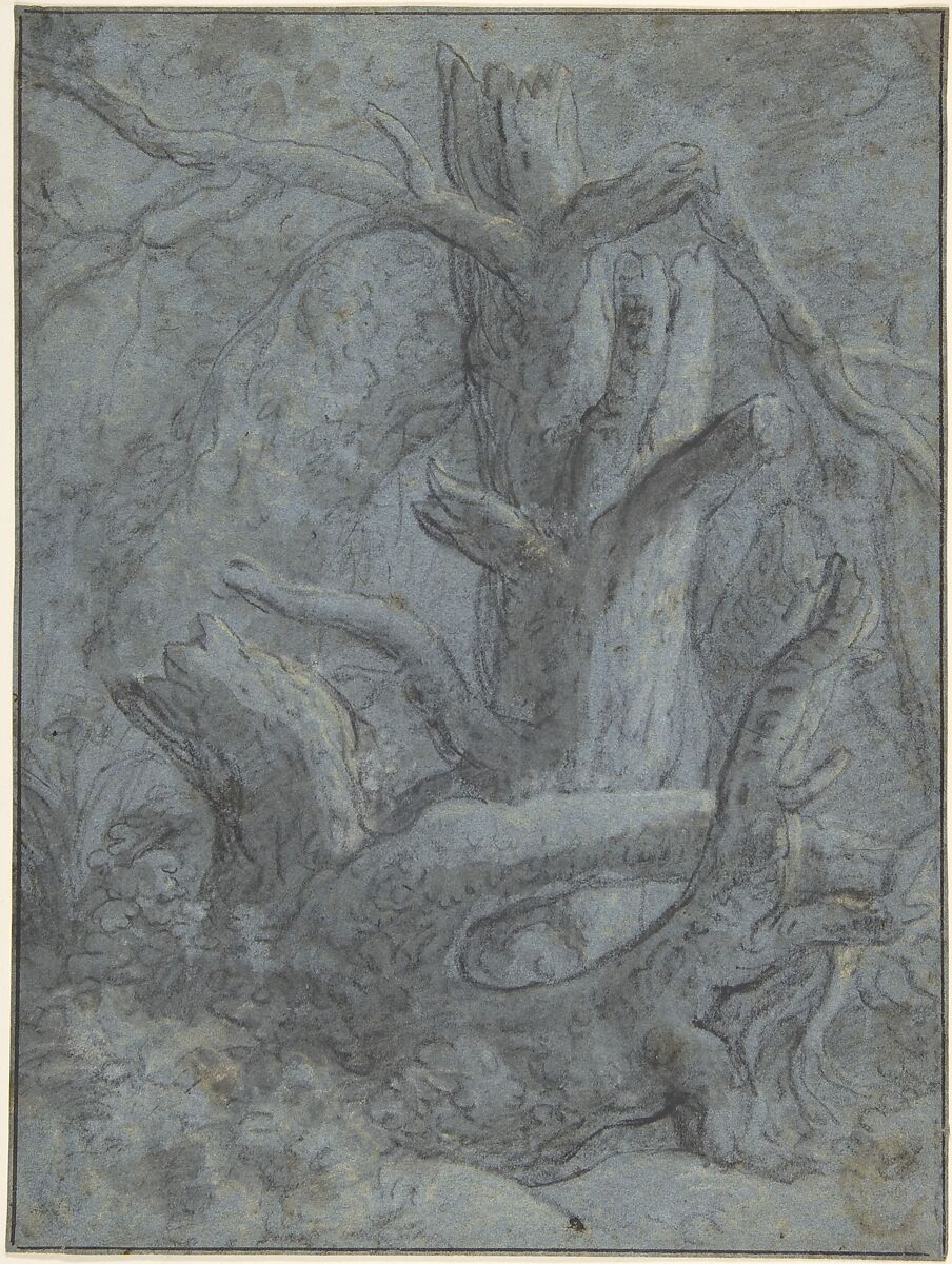 Study of a Blasted Tree Trunk and Branches, Simon de Vlieger (Dutch, Rotterdam (?) ca. 1600/1601–1653 Weesp), Black chalk, brown wash, heightened with yellowish white chalk. Framing line in pen and black ink 
