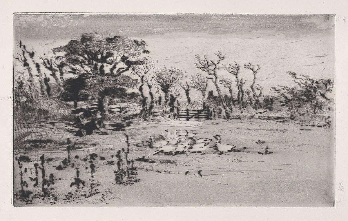 Geese, Félix-Hilaire Buhot (French, Valognes 1847–1898 Paris), Etching, drypoint, and aquatint; first state of four 