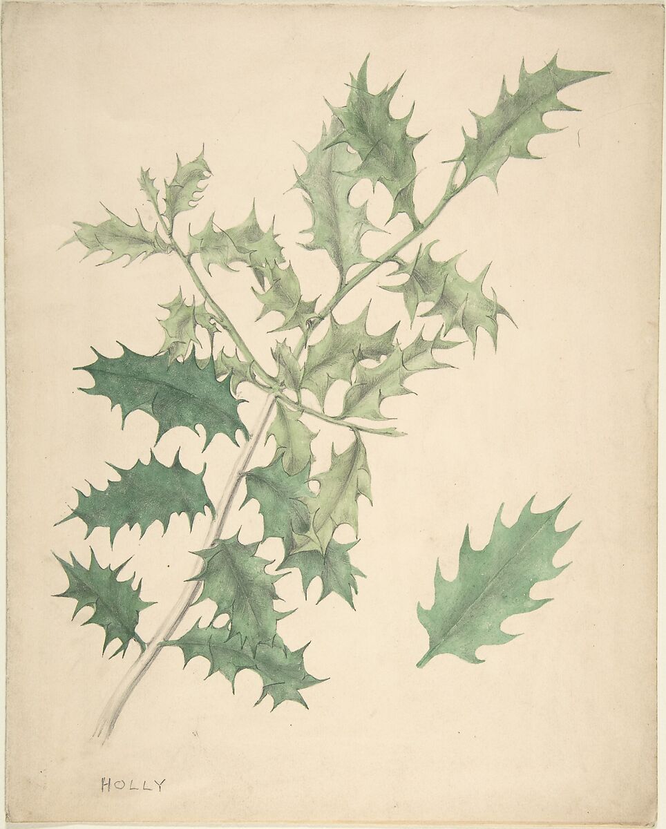 Holly Leaves, Anonymous, British, 19th century, Watercolor 