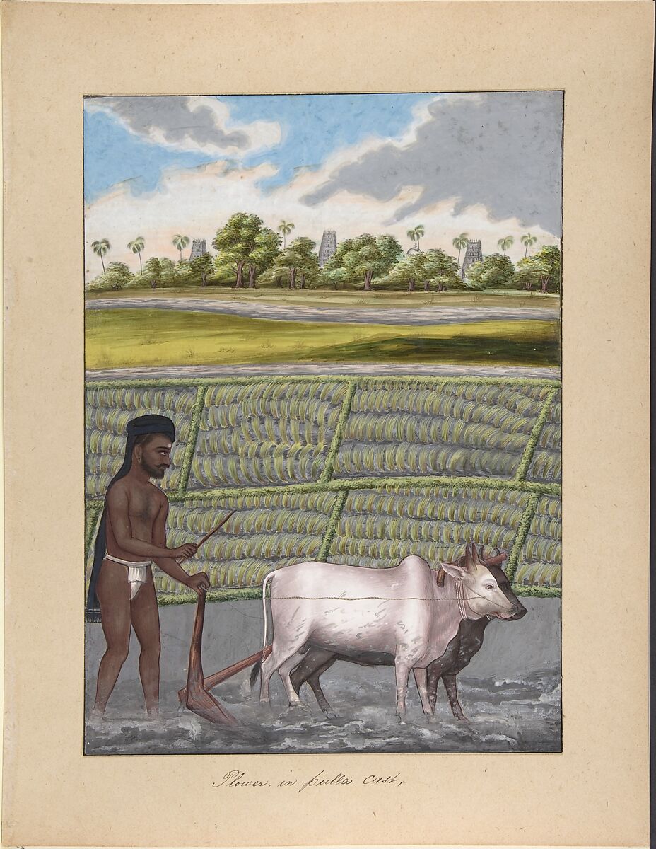 Plower in Pulla Caste, from Indian Trades and Castes, Anonymous, Indian, 19th century, Watercolor and gouache 