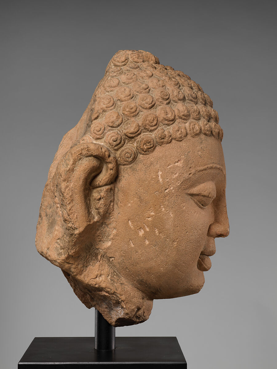 Head of a Buddha (Study Collection), Stone, India