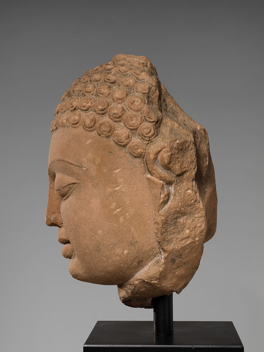 Head of a Buddha (Study Collection), Stone, India