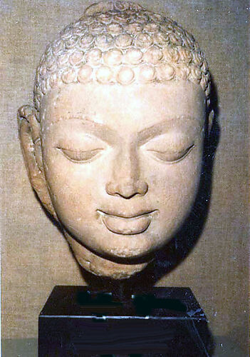 Head of a Buddha (Study Collection)