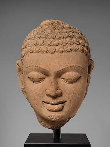 Head of a Buddha (Study Collection)