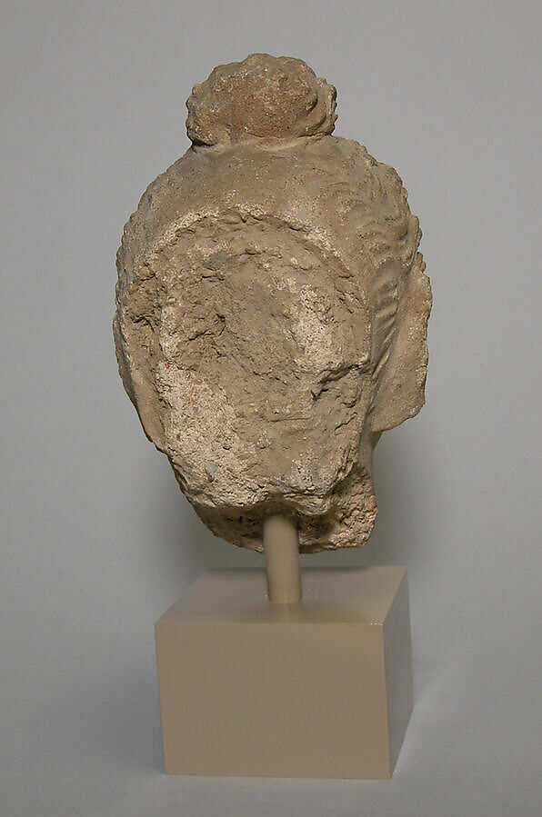 Head of Buddha, Stucco with traces of paint, Pakistan (ancient region of Gandhara)