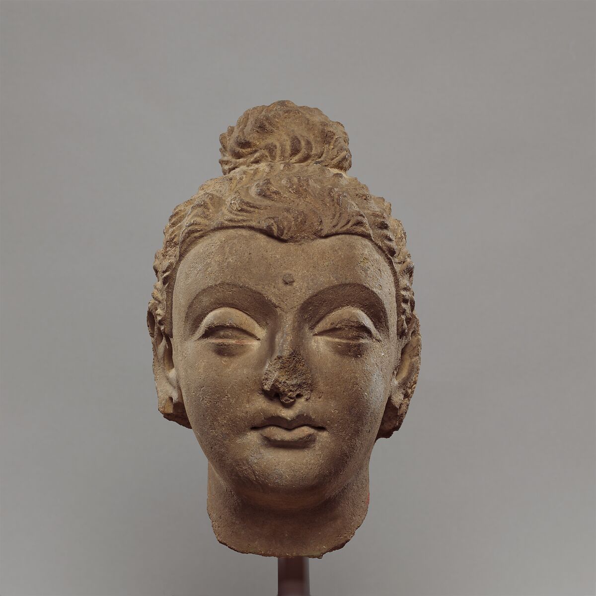 Head of Buddha, Stucco with traces of paint, Pakistan (ancient region of Gandhara) 