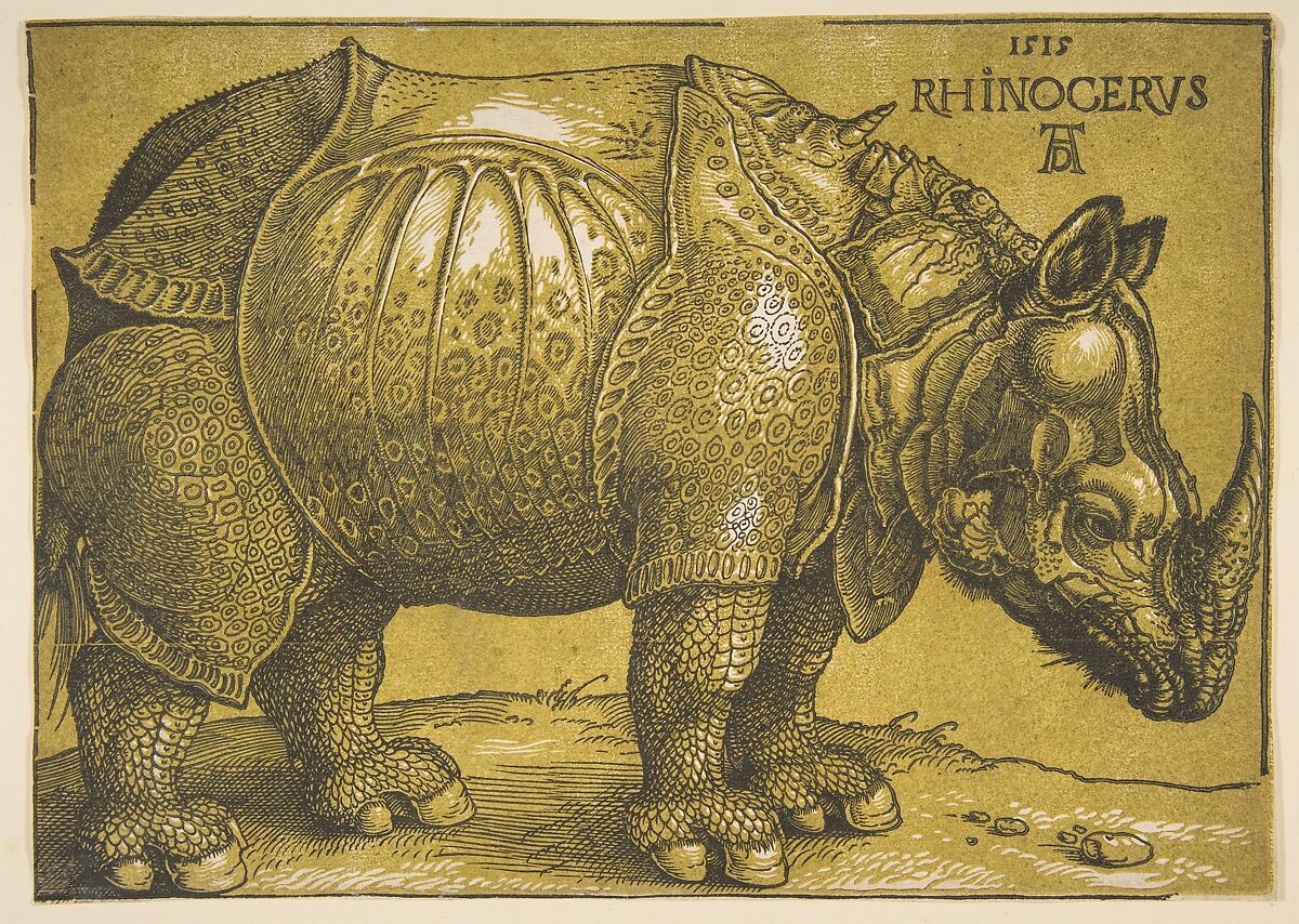 The Rhinoceros, Albrecht Dürer  German, Chiaroscuro woodcut with tone block in printed in light olive green