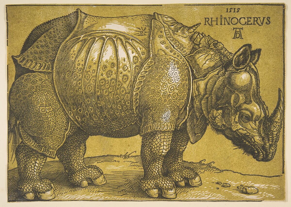 The Rhinoceros, Albrecht Dürer (German, Nuremberg 1471–1528 Nuremberg), Chiaroscuro woodcut with tone block in printed in light olive green 