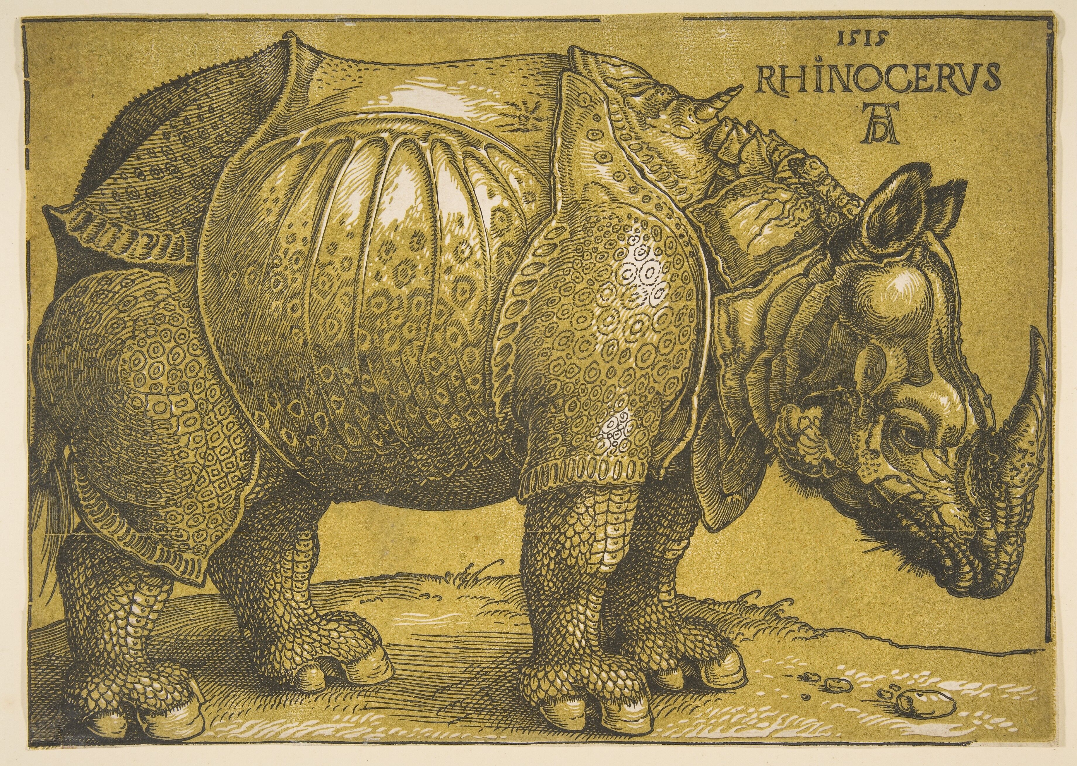 Albrecht Dürer - The Rhinoceros - The Metropolitan Museum of Art