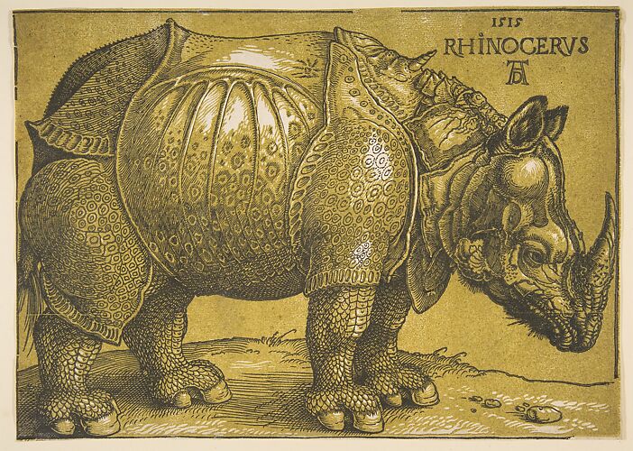 The Rhinoceros