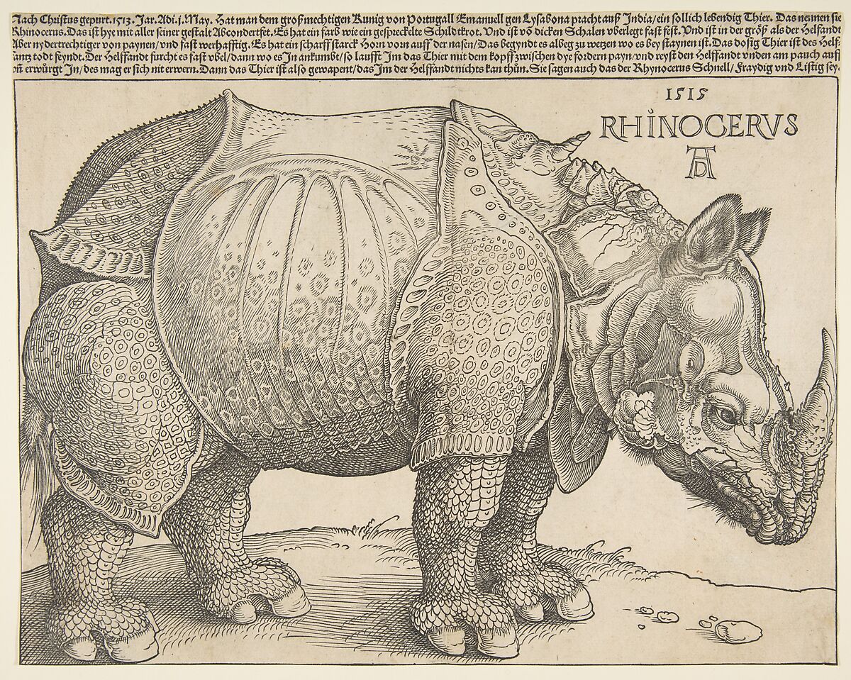 The Rhinoceros, Albrecht Dürer (German, Nuremberg 1471–1528 Nuremberg), Woodcut 