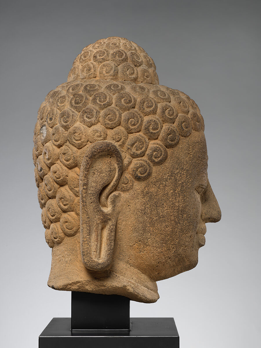 Head of a Buddha (Study Collection), Stone, Indonesia (Java)