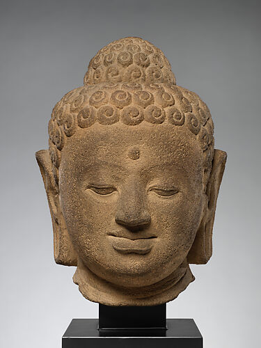 Head of a Buddha (Study Collection)