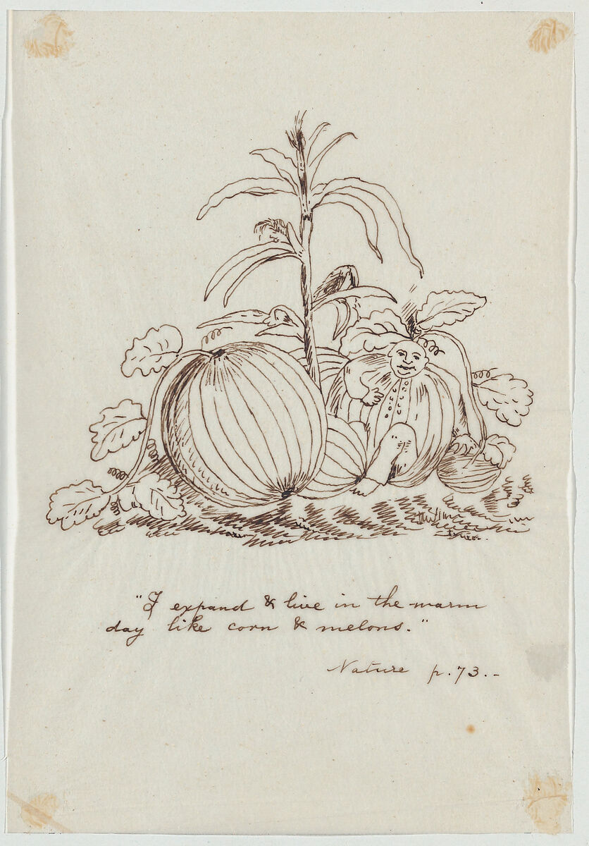 I Expand and Live in the Warm Day Like Corn and Melons (Illustration for Ralph Waldo Emerson's "Nature"), Christopher Pearse Cranch (American, Alexandria, Virginia 1813–1892 Boston, Massachusetts), Pen and brown ink 
