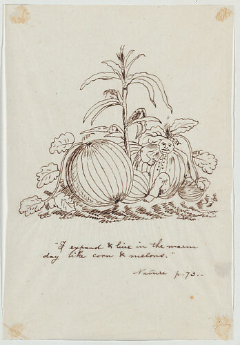 I Expand and Live in the Warm Day Like Corn and Melons (Illustration for Ralph Waldo Emerson's 