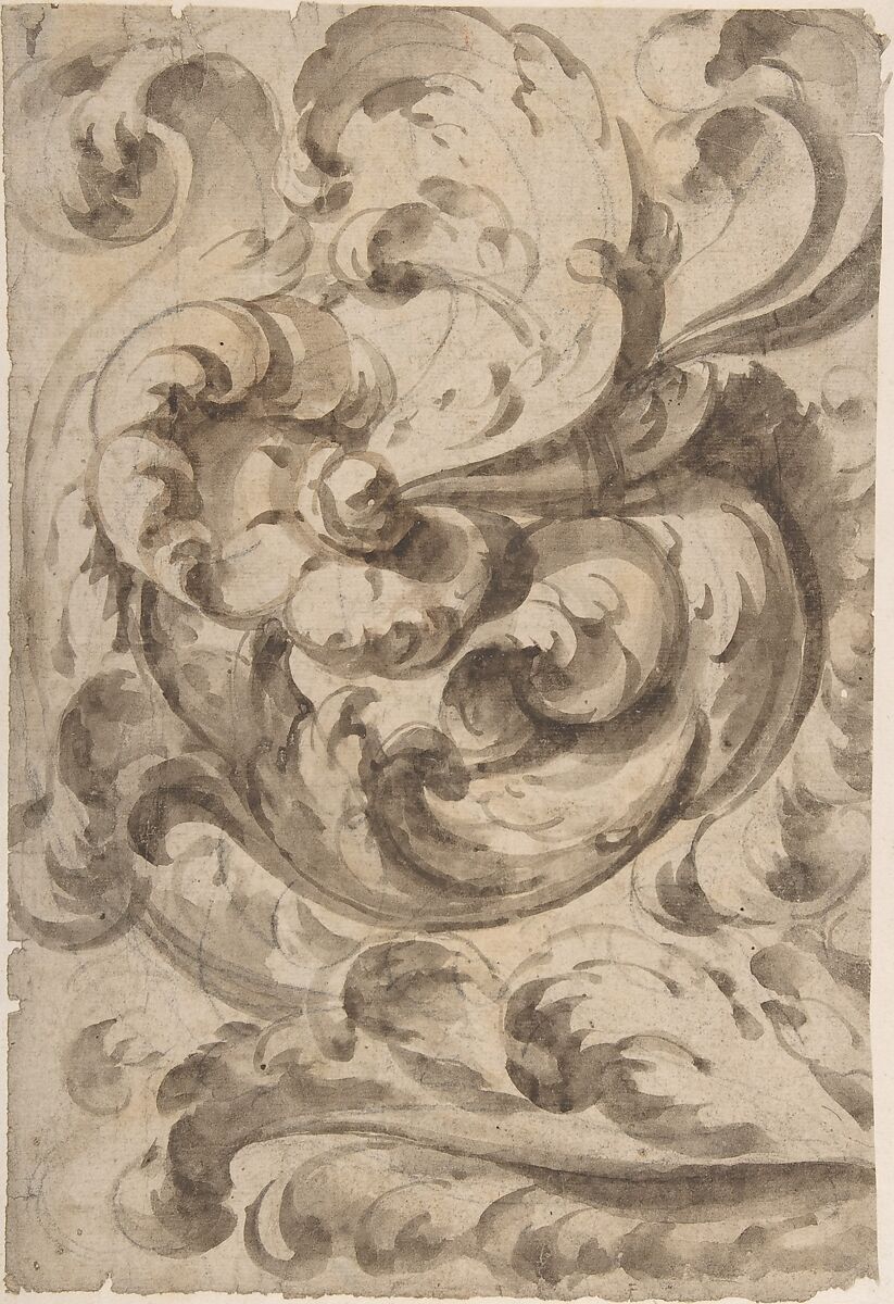 Acanthus Scroll, Anonymous, Italian, 17th century, Brush and gray-brown wash, over graphite underdrawing 