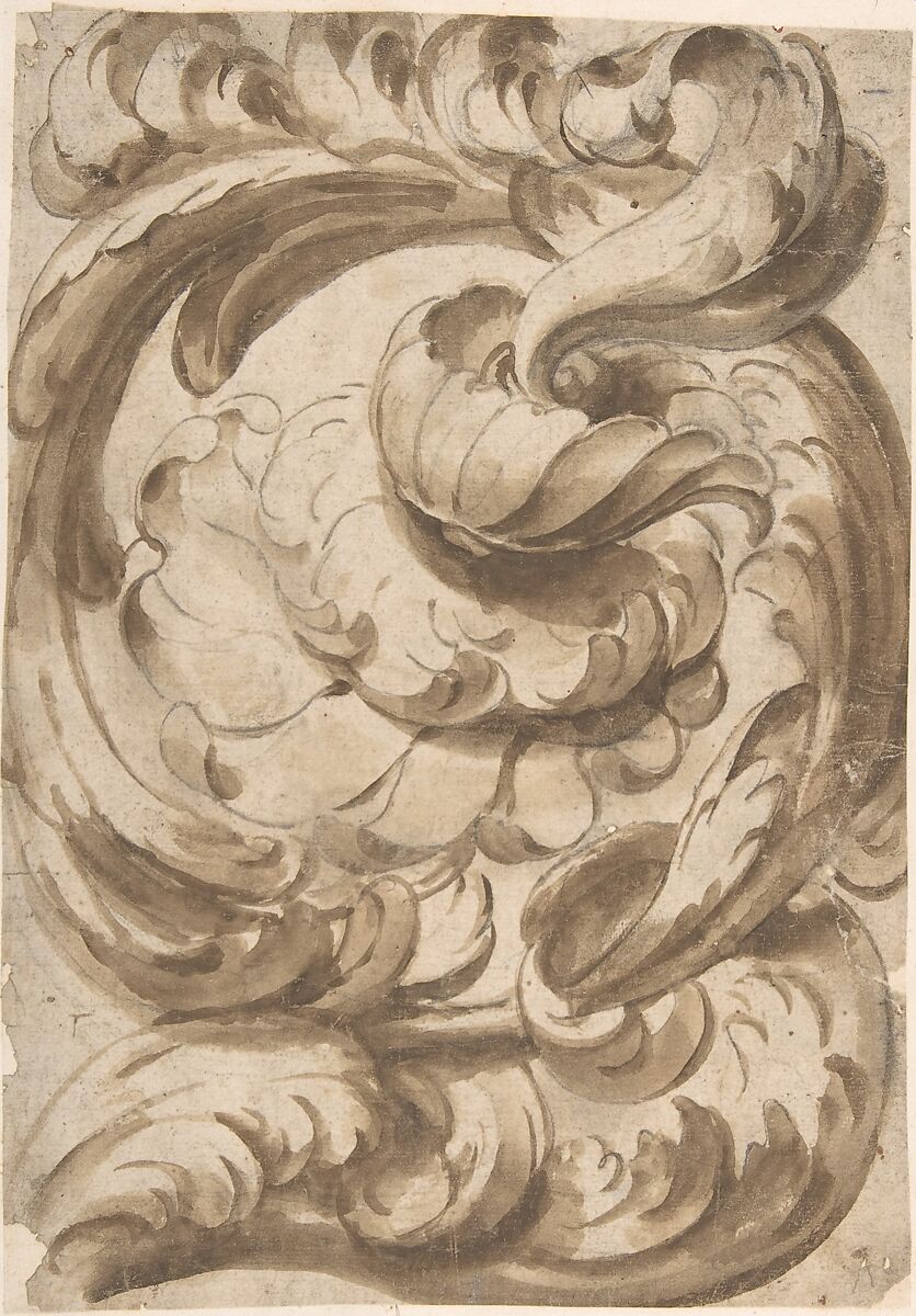 Acanthus Scroll with Rosette, Anonymous, Italian, 17th century, Brush and brown wash, over graphite underdrawing 