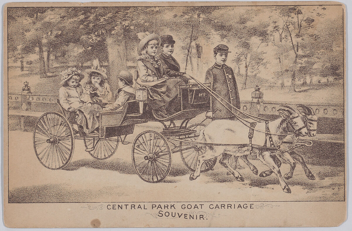 Central Park Goat Carriage (Souvenir Postcard), Anonymous, American, 19th century, Lithograph on card 