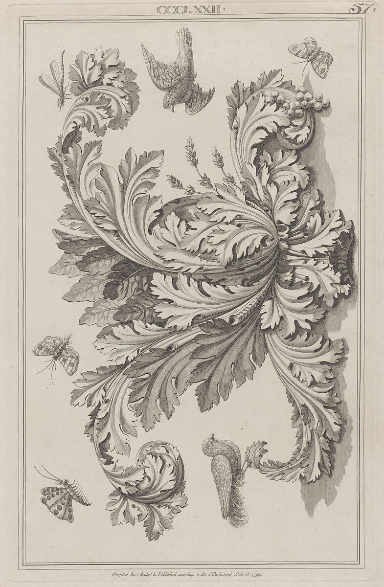 Acanthus Leaves, Birds and Insects, no. CCCLXXII, plate 57 from "Designs for Various Ornaments", Michelangelo Pergolesi (Italian, active from 1760–died 1801), Etching 