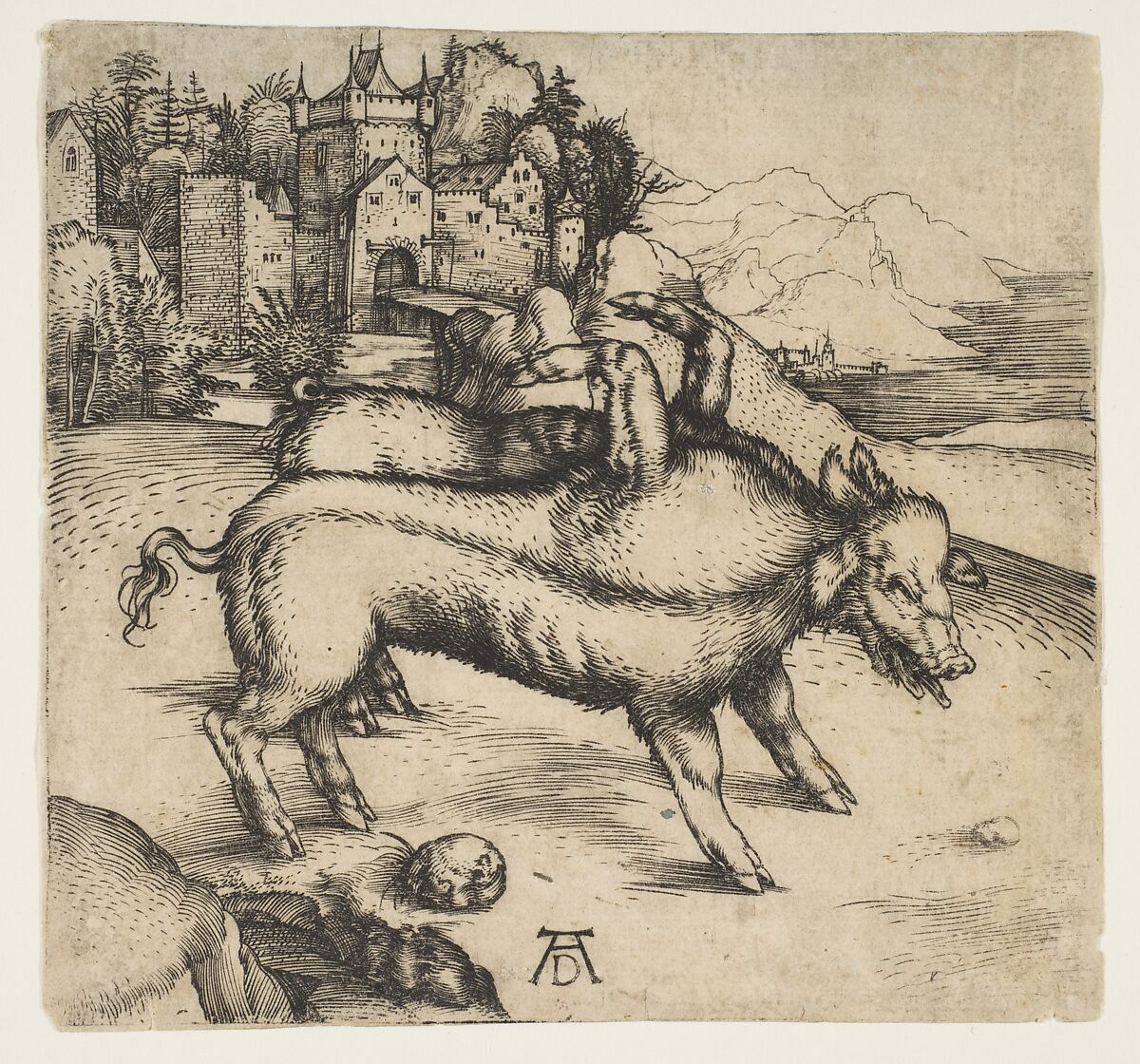 The Monstrous Pig of Landser, Albrecht Dürer (German, Nuremberg 1471–1528 Nuremberg), Engraving 