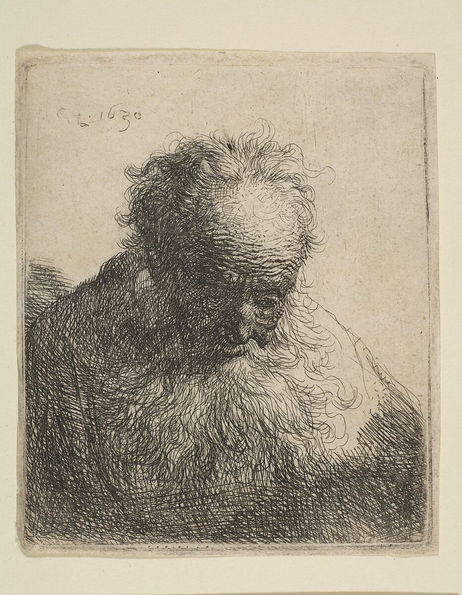 Rembrandt (Rembrandt van Rijn)  Bust of an Old Man with a Flowing