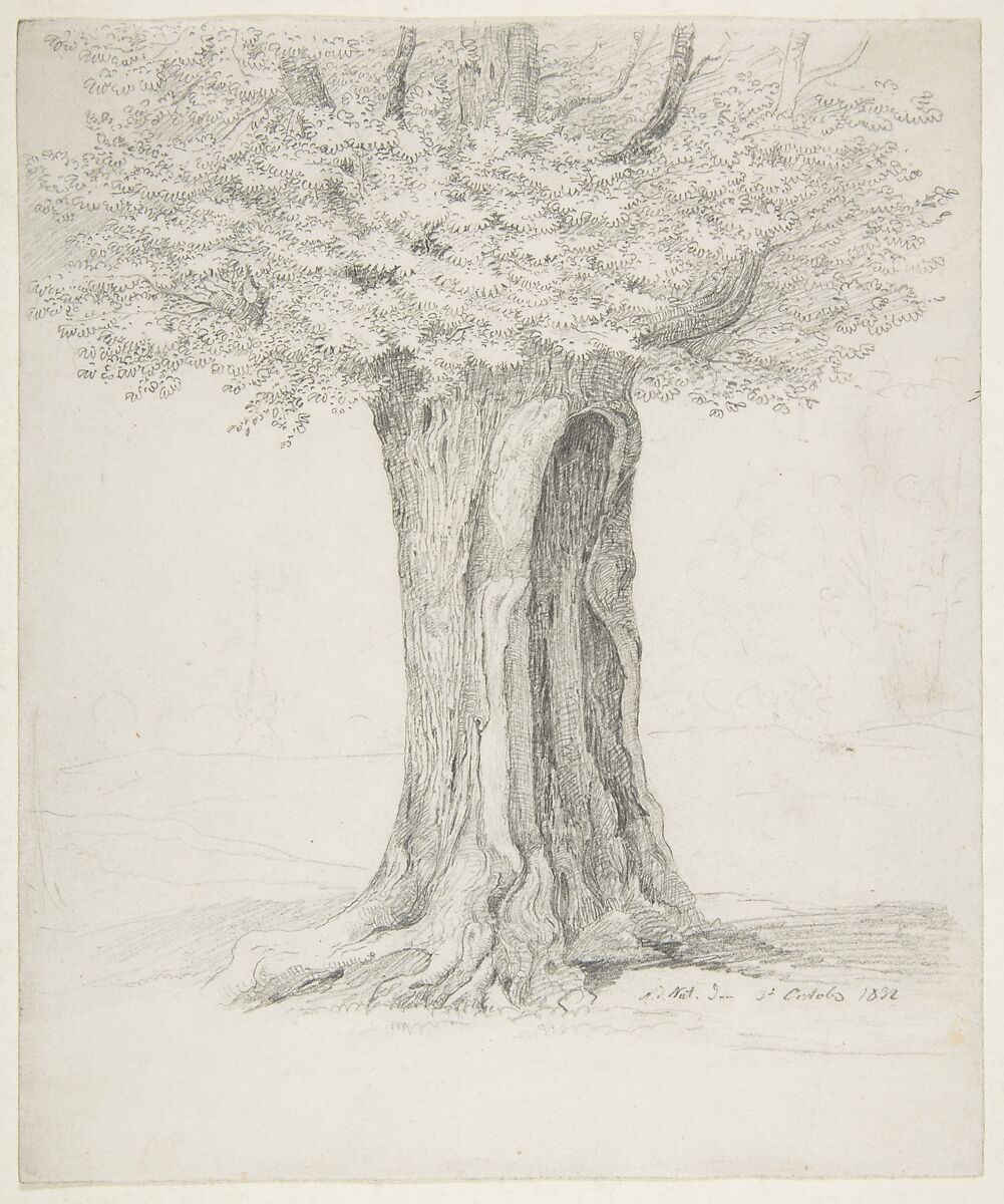 Study of a Tree; verso: Study of Houses, Ernst Ferdinand Oehme (German, Dresden 1797–1855 Dresden), Graphite 