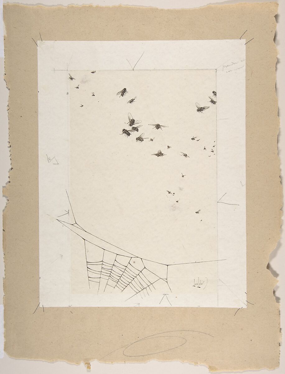 A Swarm of Flies above a Spider's Web, Alexandre-Louis Leloir (French, Paris 1843–1884 Paris), Pen and brown ink with graphite on chine collé 