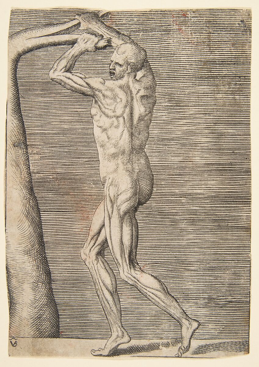 Flayed man arms raised holding the branch of a tree, Giulio Bonasone (Italian, active Rome and Bologna, 1531–after 1576), Engraving 