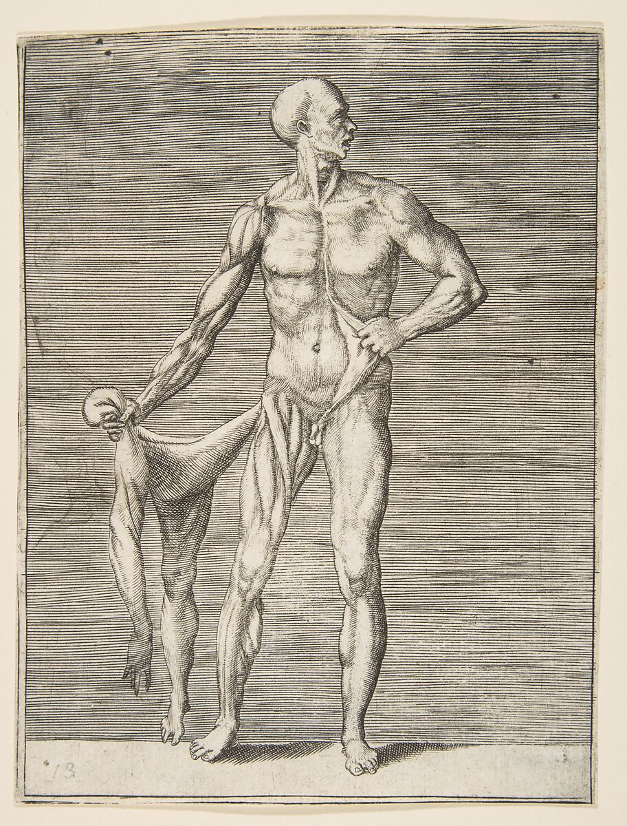 Man seen from the Front, holding the Skin of his right Arm and Leg in his right Hand, Giulio Bonasone (Italian, active Rome and Bologna, 1531–after 1576), Engraving 