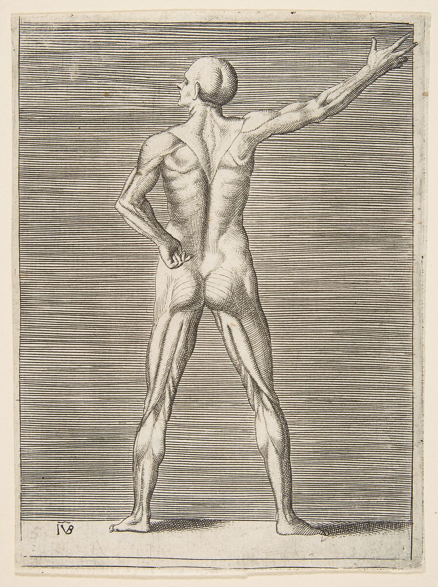 Flayed man seen from the back, his right arm extended, Giulio Bonasone (Italian, active Rome and Bologna, 1531–after 1576), Engraving 