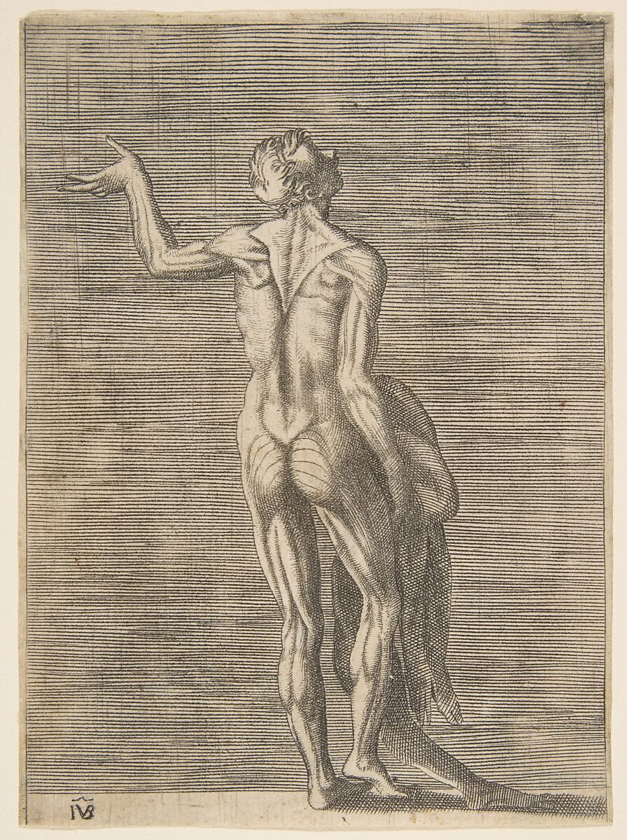 Flayed man with left hand on hip, holding skin in right hand, Giulio Bonasone (Italian, active Rome and Bologna, 1531–after 1576), Engraving 