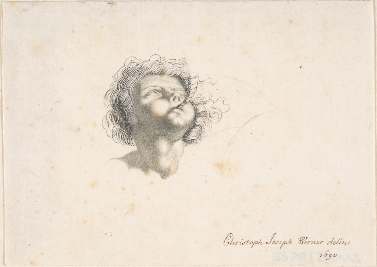 Head of a Putto, Christoph Joseph Werner (German, ca. 1670–1750 Dresden), Brush and brown ink 